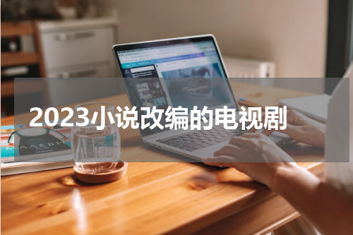 2023小说改编的电视剧