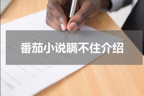 番茄小说瞒不住介绍