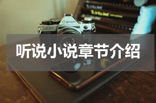 听说小说章节介绍