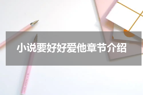 小说要好好爱他章节介绍