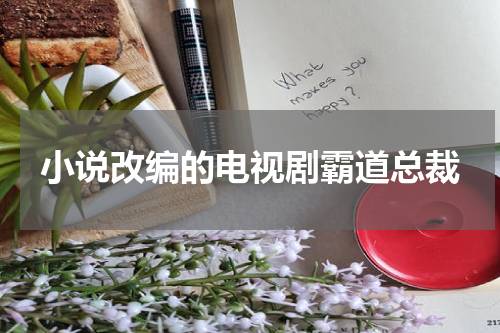 小说改编的电视剧霸道总裁