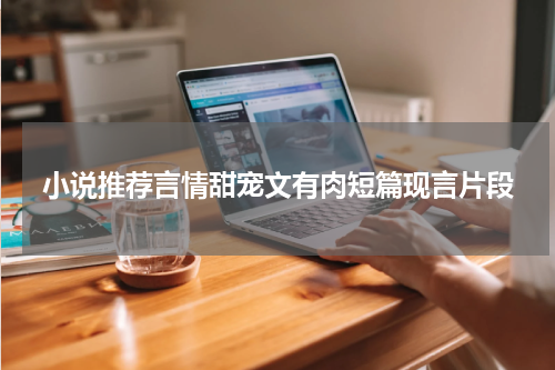 小说推荐言情甜宠文有肉短篇现言片段