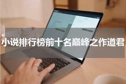 小说排行榜前十名巅峰之作道君