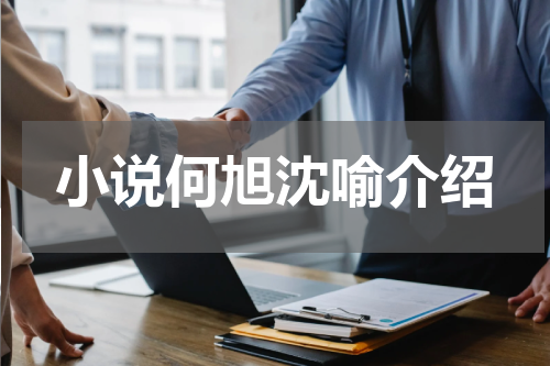 小说何旭沈喻介绍