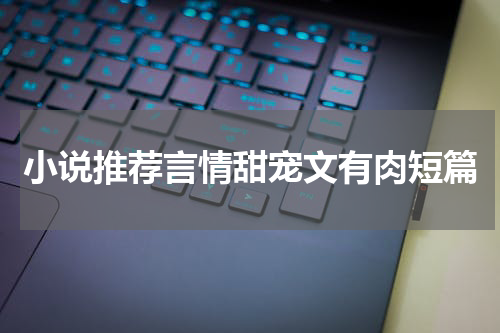小说推荐言情甜宠文有肉短篇