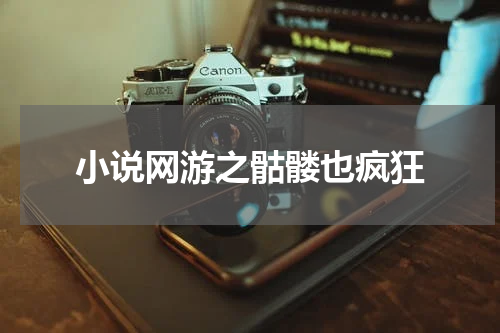 小说网游之骷髅也疯狂