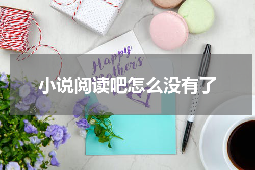 小说阅读吧怎么没有了
