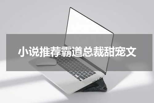 小说推荐霸道总裁甜宠文