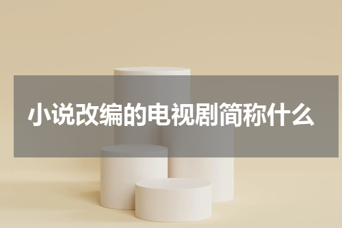 小说改编的电视剧简称什么