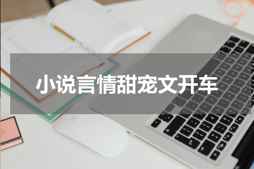 小说言情甜宠文开车