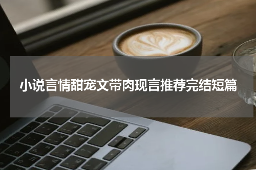小说言情甜宠文带肉现言推荐完结短篇