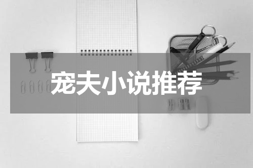 宠夫小说推荐
