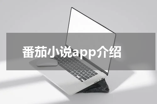 番茄小说app介绍