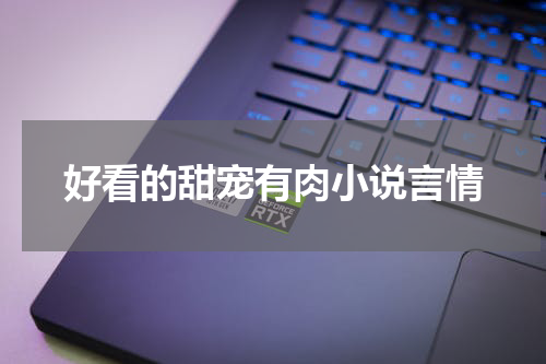 好看的甜宠有肉小说言情