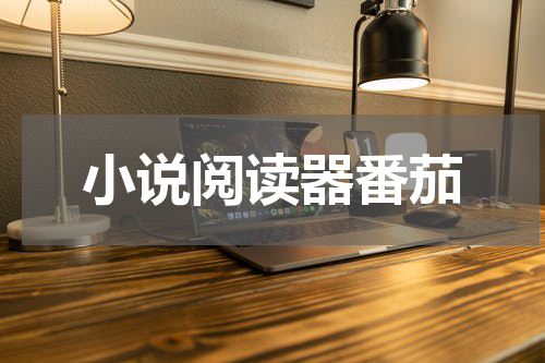 小说阅读器番茄