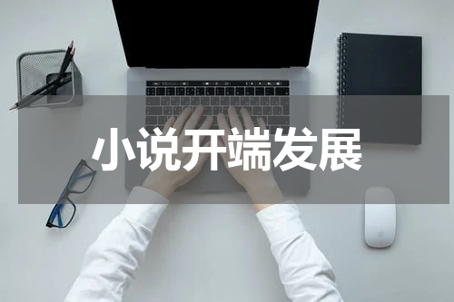 小说开端发展