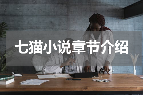 七猫小说章节介绍