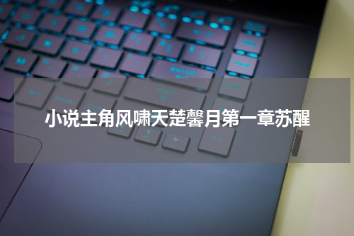 小说主角风啸天楚馨月第一章苏醒