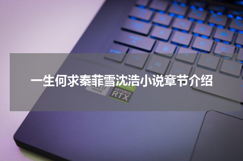 一生何求秦菲雪沈浩小说章节介绍