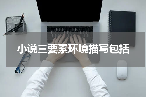 小说三要素环境描写包括