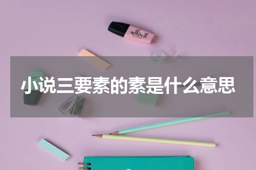 小说三要素的素是什么意思