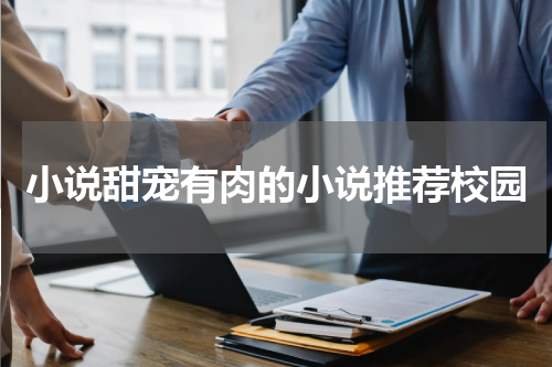 小说甜宠有肉的小说推荐校园