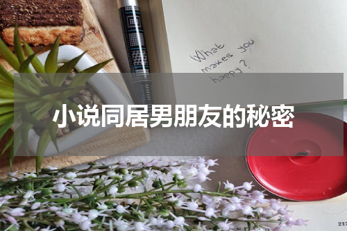 小说同居男朋友的秘密