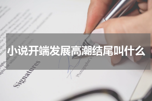 小说开端发展高潮结尾叫什么