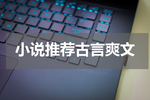 小说推荐古言爽文