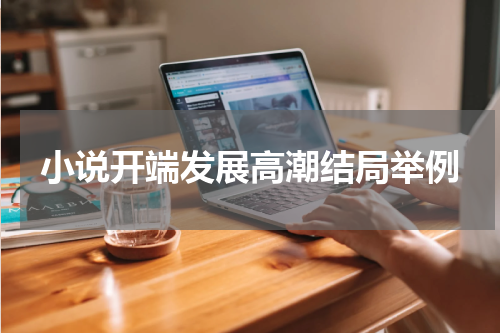 小说开端发展高潮结局举例