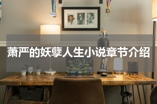 萧严的妖孽人生小说章节介绍