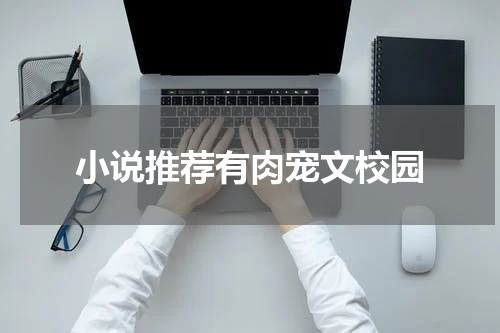 小说推荐有肉宠文校园