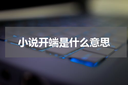 小说开端是什么意思