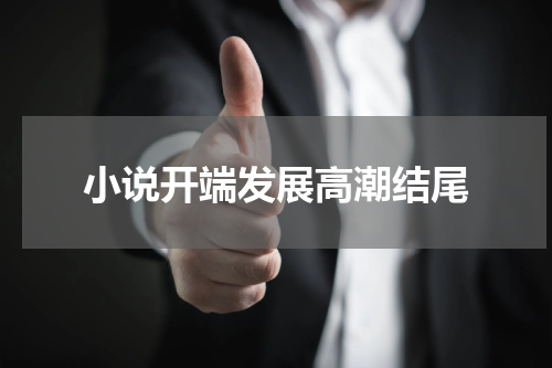 小说开端发展高潮结尾