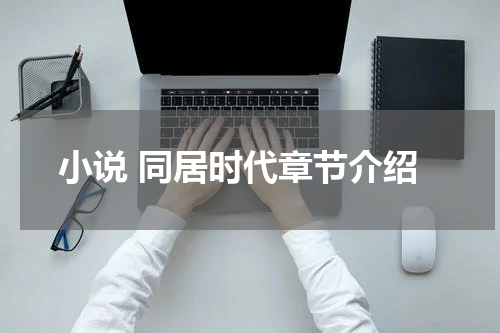 小说 同居时代章节介绍
