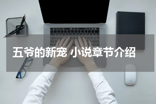 五爷的新宠 小说章节介绍