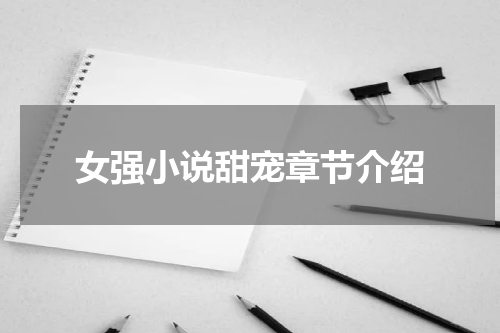 女强小说甜宠章节介绍
