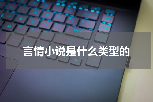 言情小说是什么类型的