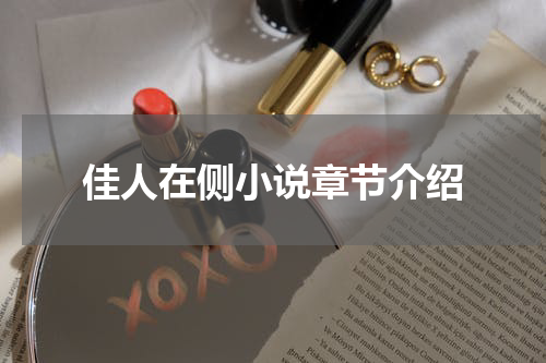 佳人在侧小说章节介绍