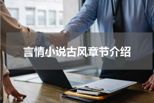 言情小说古风章节介绍
