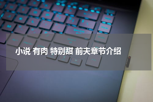 小说 有肉 特别甜 前夫章节介绍
