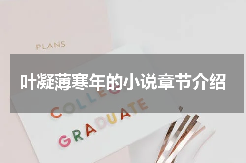 叶凝薄寒年的小说章节介绍