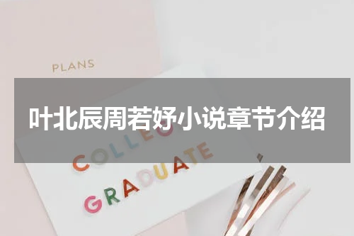 叶北辰周若妤小说章节介绍