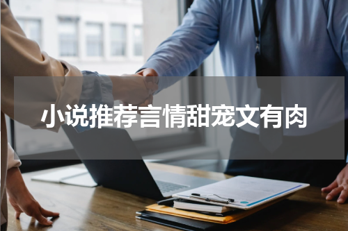 小说推荐言情甜宠文有肉