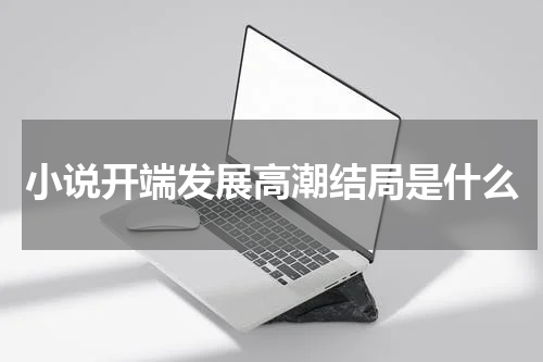 小说开端发展高潮结局是什么