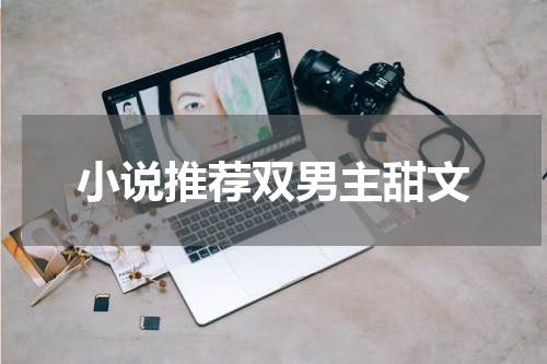 小说推荐双男主甜文
