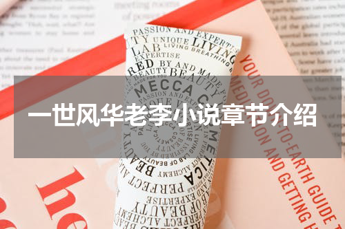 一世风华老李小说章节介绍
