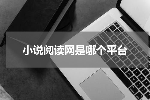 小说阅读网是哪个平台