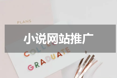 小说网站推广
