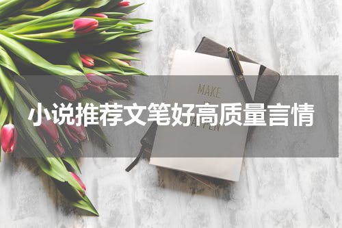 小说推荐文笔好高质量言情